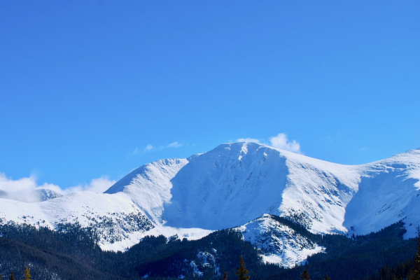 Image for Spring stay savings